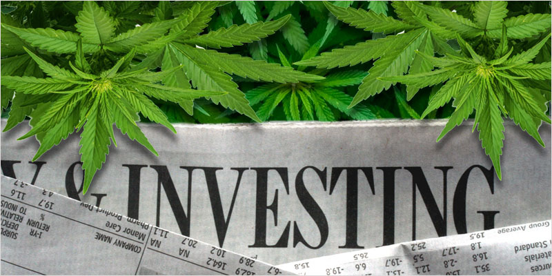 Fundos de Investindos no setor legal de ‘Cannabis’