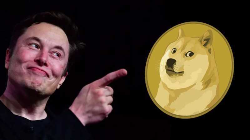 Dogecoin, a criptomoeda mais confiante para investir