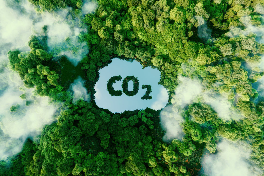 Crédito de carbono não é investimento